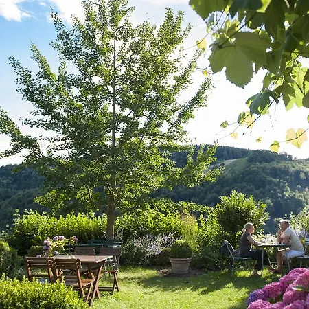 农家乐 阵雨酒庄旅馆 绍萨尔地区基策克
