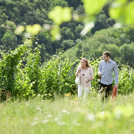 Vakantieboerderij Weingut Schauer
