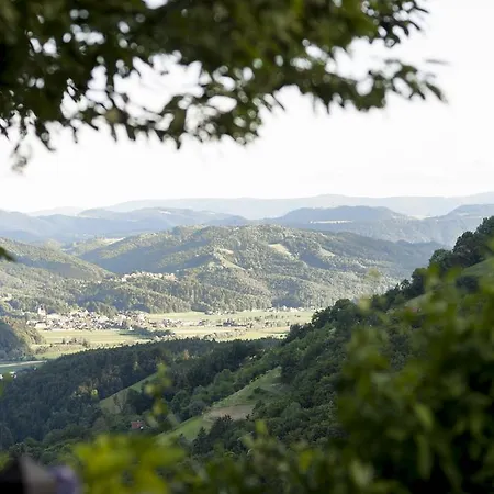 农家乐 阵雨酒庄旅馆 绍萨尔地区基策克