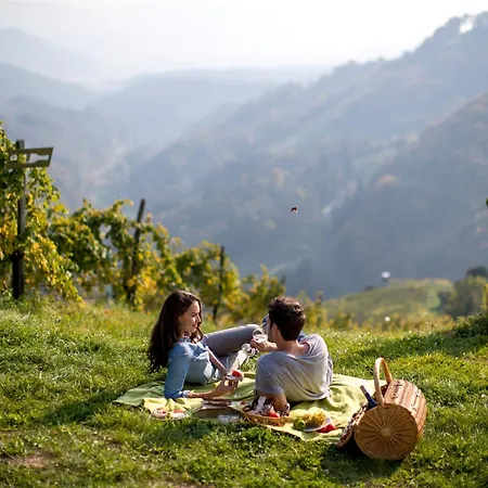 Weingut Schauer Farm stay *