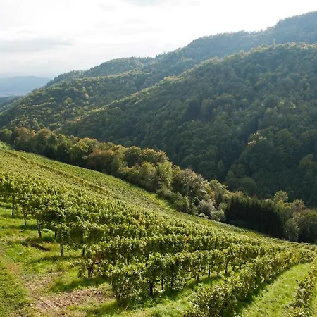 Weingut Schauer Farm stay Kitzeck im Sausal