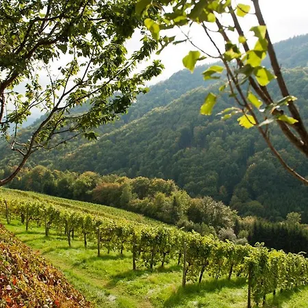 Farm stay Weingut Schauer *