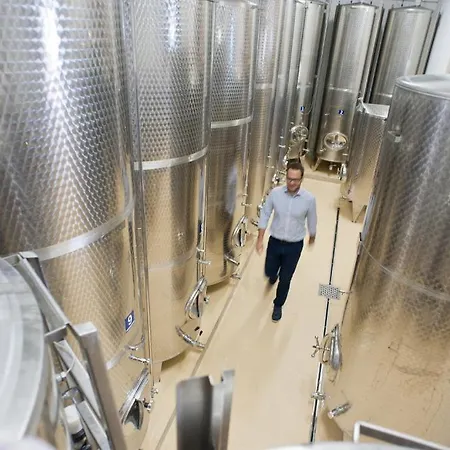 Weingut Schauer Farm stay *