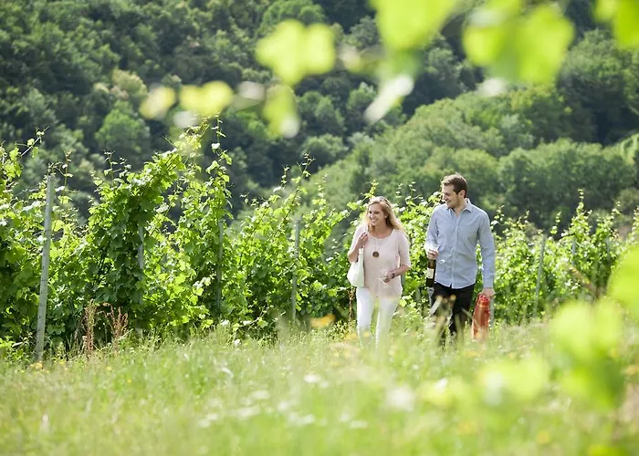 Alloggio per agriturismo Weingut Schauer