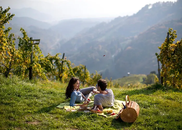 Weingut Schauer Alloggio per agriturismo *