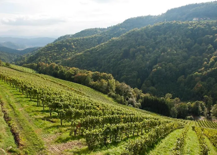 Weingut Schauer Alloggio per agriturismo Kitzeck im Sausal