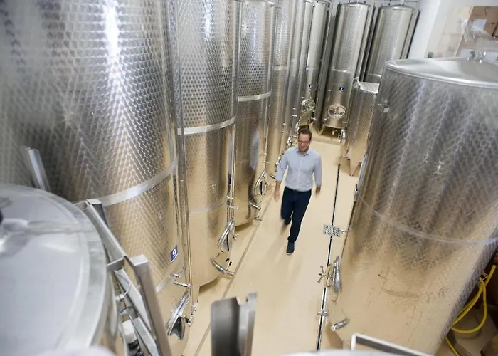 Weingut Schauer Alloggio per agriturismo *