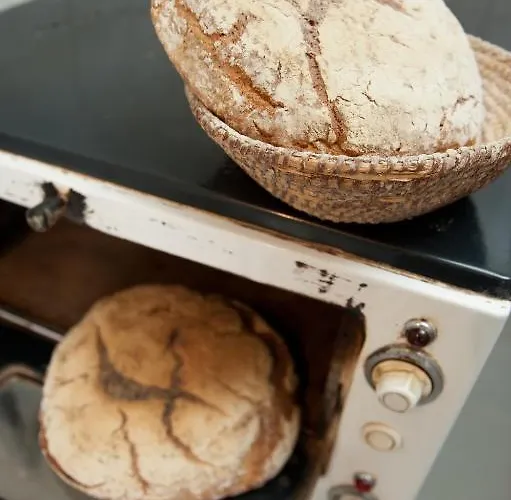 Weingut Schauer * Kitzeck im Sausal